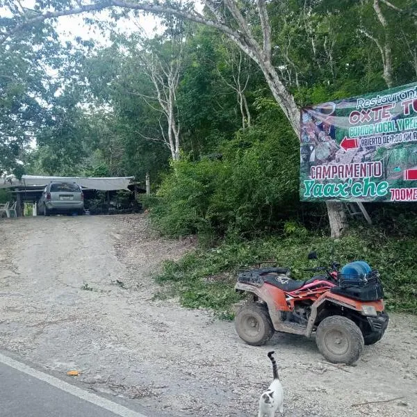 Campamento Yaax Che en Calakmul, hotel v destinaci Conhuas