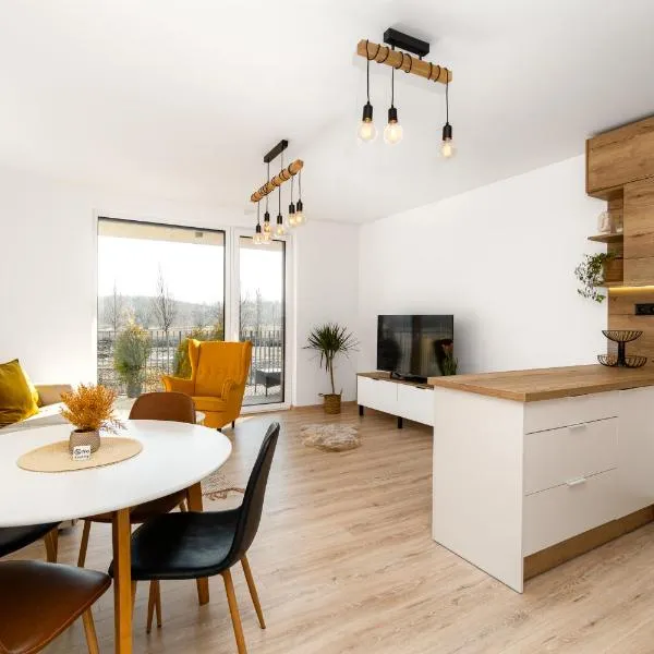 New BNB Apartment In the Ostrava with parking option, hotel in Slezská Ostrava