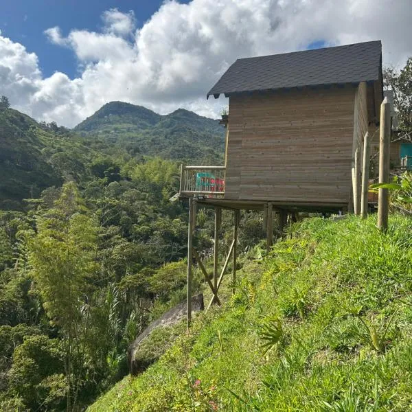 Cabañas Colibrí, hotel en Cocorná