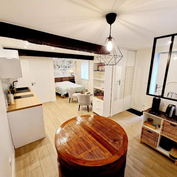 Studio cosy Proche Lyon Arrivée autonome, hotel in Cailloux-sur-Fontaines