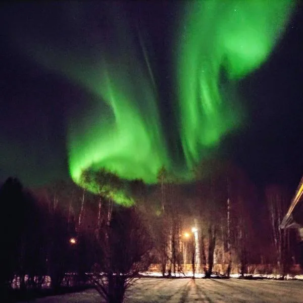 Arctic River Apartment, hotel in Rovaniemi