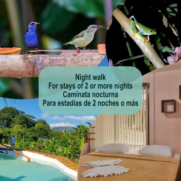 Cabañas del Rio, hotel v destinaci Fortuna