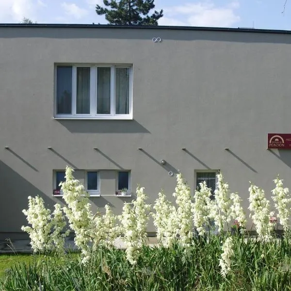 DIVADELNÍ PENZION, hotel v destinaci Bukovany