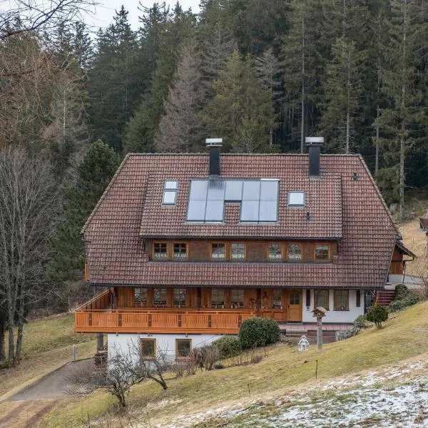 Haus Silberberg, hotel in Schonach