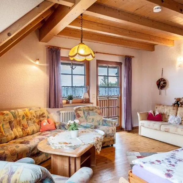 Haus Silberberg, hotel v destinaci Schonach