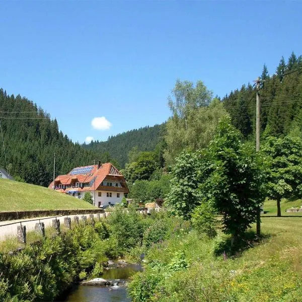 Gästehaus Herrmann, hotel v destinaci Bad Rippoldsau-Schapbach