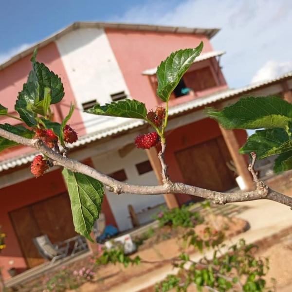 Fazenda Terra Bonita - Foto 5