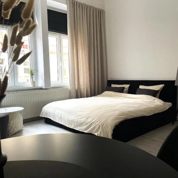Apartament Miedziany Śródmieście, hotel v destinácii Grudziądz