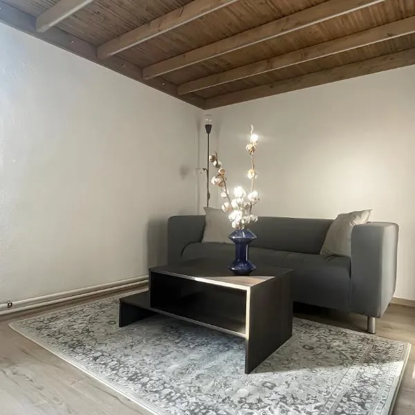 Cotton&Loft - Brno City Center Apartment, hotel in Brno
