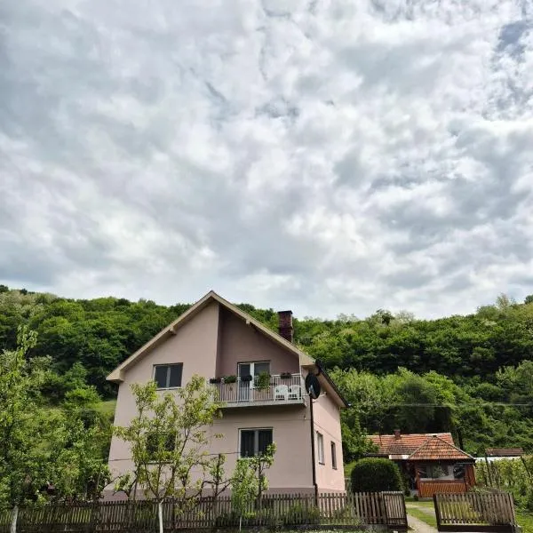 Apartman Gavro, hotel v destinaci Bajina Bašta