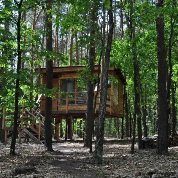 Domek na Drzewie: Rudka Gołębska şehrinde bir otel