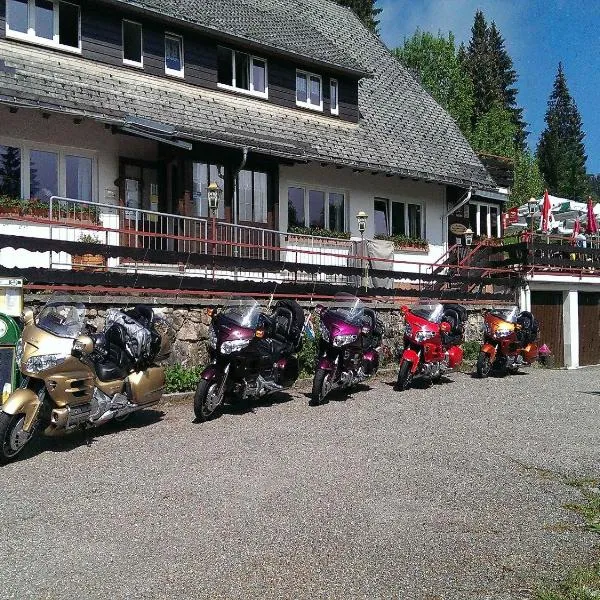 Klosterweiherhof, hotel v destinácii Dachsberg im Schwarzwald