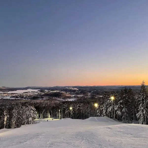 Nice ski in ski out cabin, hotel en Bollnäs