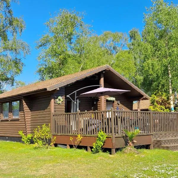 Bunting Lodge, 21 Duck Lake, hotel in Tattershall