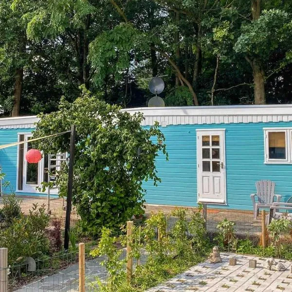 Boshuisjes Veluwe Olijfje met omheinde tuin, hotel a Putten