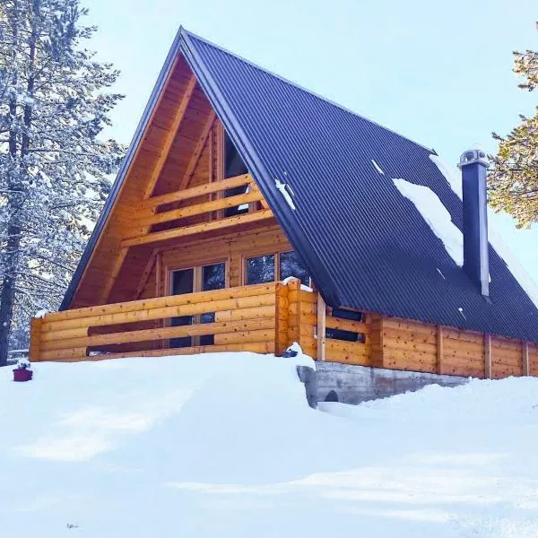 Planinska Brvnara Zlatni Bor, hotel a Nedići