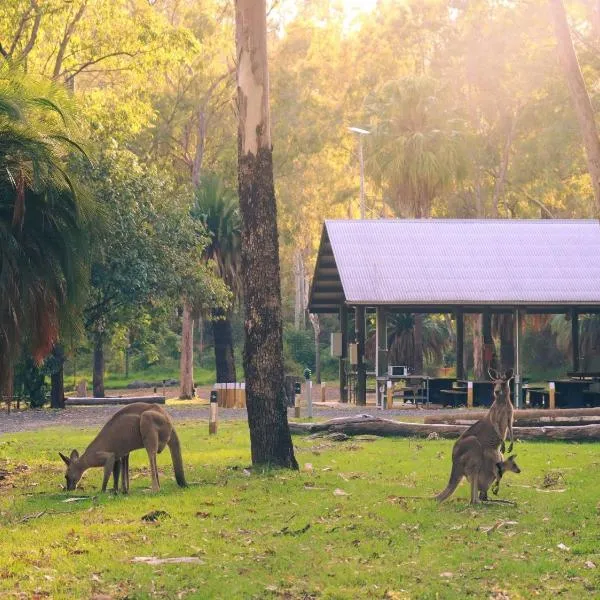 BIG4 Breeze Holiday Parks - Carnarvon Gorge โรงแรมในCarnarvon Gorge