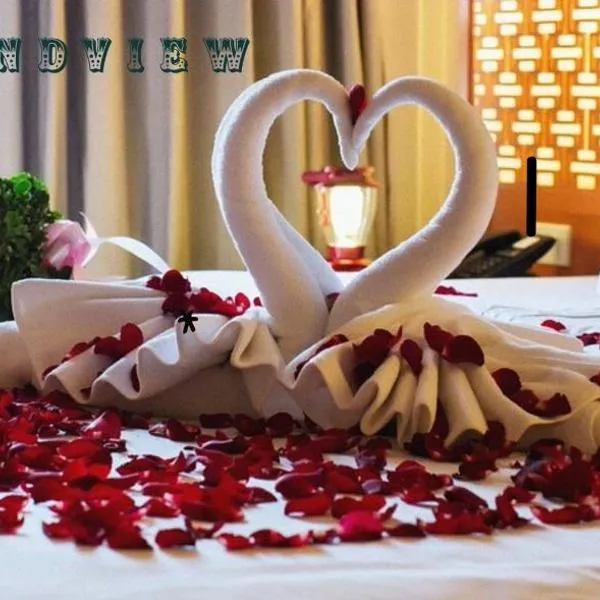 Hotel Grandview, hotel v destinaci Kondapur