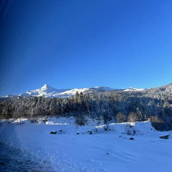 La Suite Unique - Le jardin sur les Pyrénées- vue panoramique montagne -jardin clôturé privé de 100m2-Parking-Linge de lit et serviettes compris-, hotell i Bielle