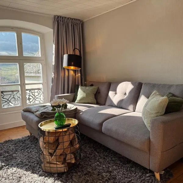 Moselblick im Denkmal, hotel u gradu Cel an der Mozel