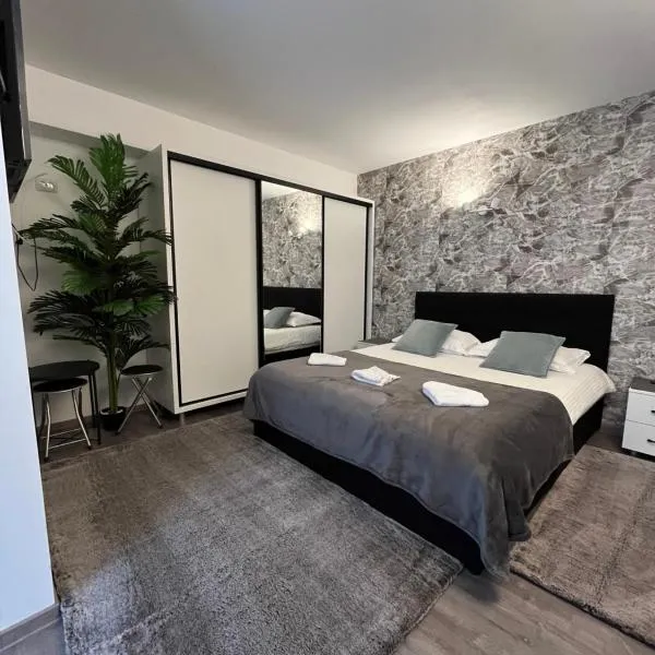 Vila Mirela, hotel v destinaci Şura Mică