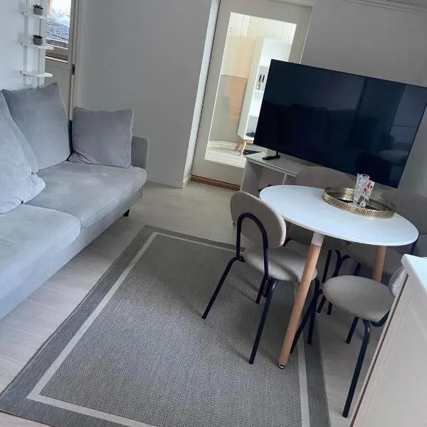Koselig kjeller leilighet, hotel v destinaci Larvik