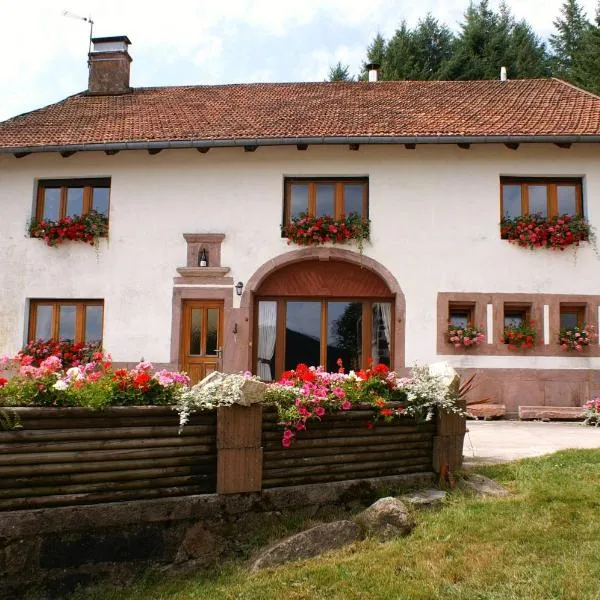 Blanche-Roche, Chambre et table d'hôtes au calme, hotel in Cleurie