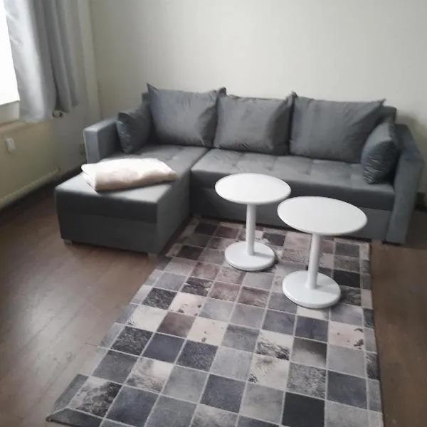2 Raum Wohnung in der Nähe des August Horch Museum, hotel v destinaci Zwickau