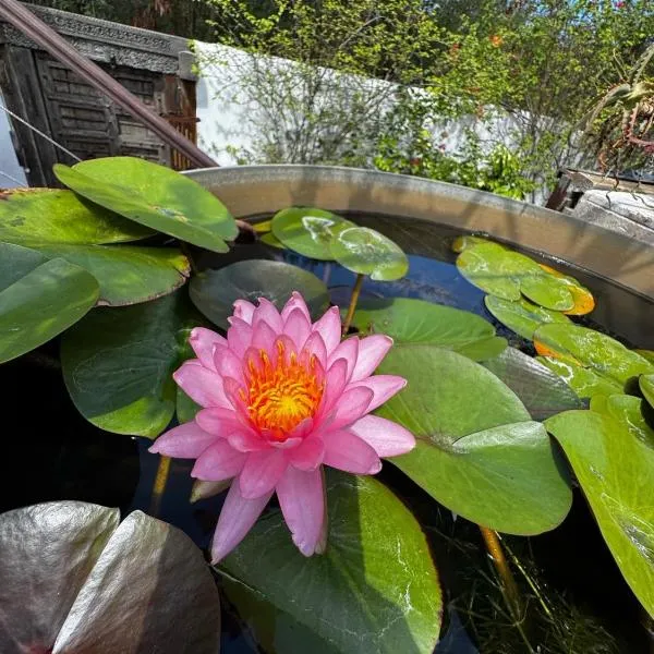 Lotus Garden - Île de la Réunion, hotel v destinaci Ravine des Cabris