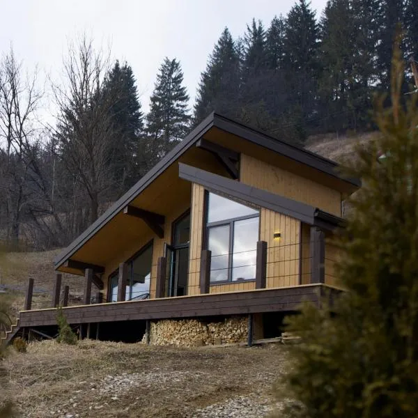 Petrick House, hotel v destinaci Verchovyna