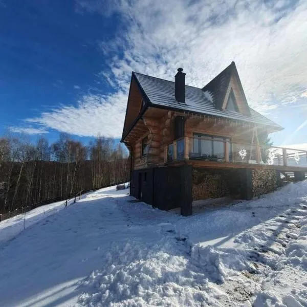 Niedźwiedzi Zakątek, hotel in Sidzina