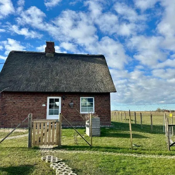 Haus Treibsel, hotel v destinaci Dagebüll