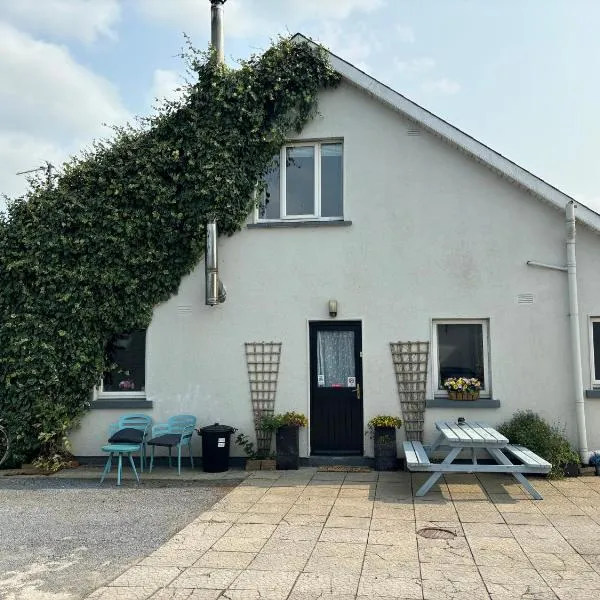 Kilkenny rental The Folly Lodge minutes from city centre R95RYC8, hotel v destinaci Kilkenny