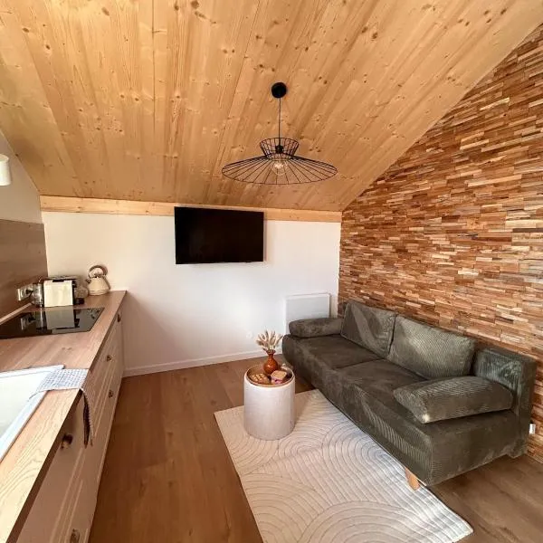 Le Mélèze, chaleureux appartement 4pers près de Genève & Annecy, hotel v destinaci Saint-Germain-sur-Rhône