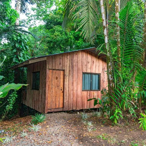 Citronela Lodge Corcovado, hotel v destinaci Drake
