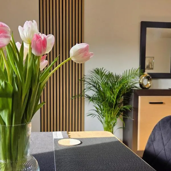 Apartament GOLD blisko Wawelu z DARMOWYM PARKINGIEM, hotell i Kraków