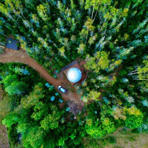 Domo en medio del bosque con wifi, hotel v destinaci Pitrufquén