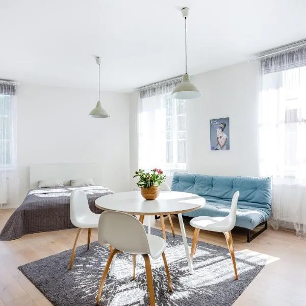 Spacious Cozy Studio, 3A, hotel u Vilniusu