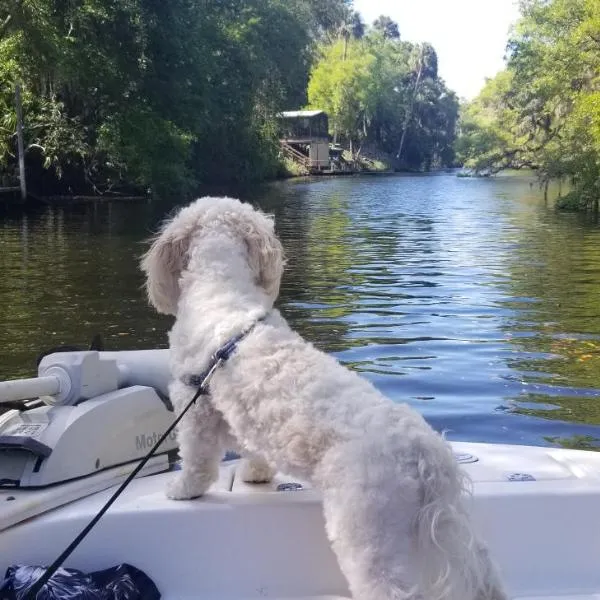 Minutes to boat ramps and beach and private pool!, hotel v destinaci Crystal River