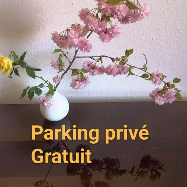 Appartement Zen Strasbourg center avec parking, hotel in Strasbourg