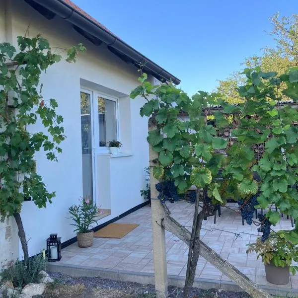 Apartmán Hrozínek, hotel sa Dobré Pole
