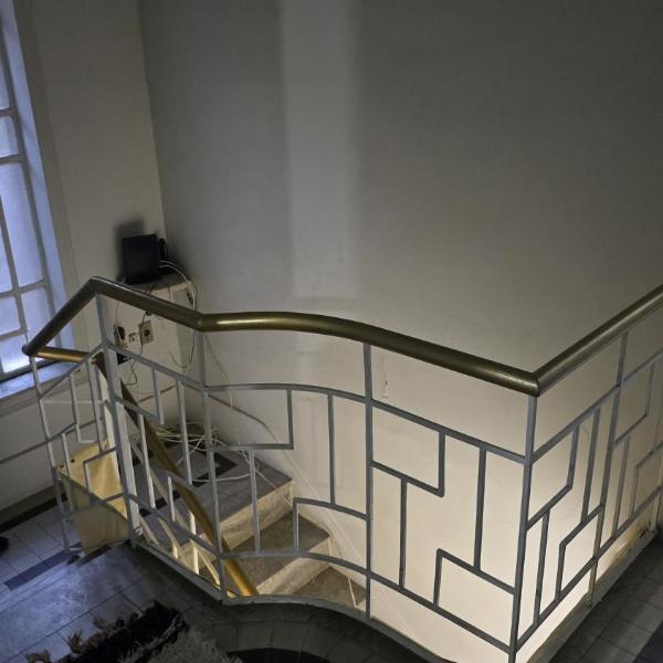 Quarto em apartamento no bairro das laranjeiras com 2 gatinhos lindos!
