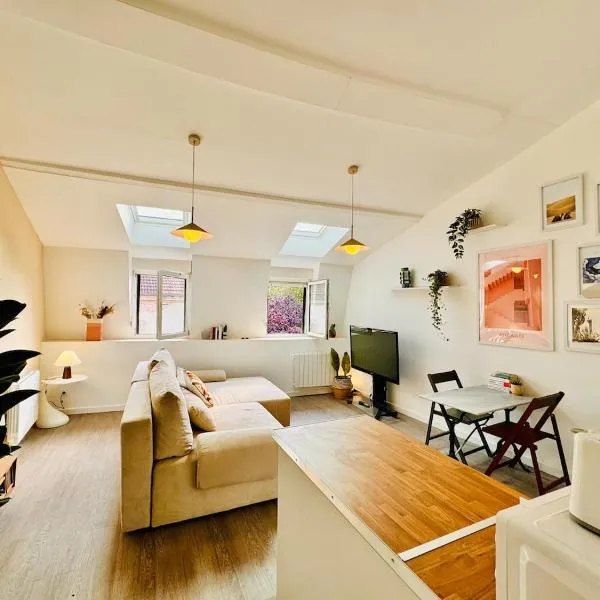 La Papaya - Superbe appartement au centre, hotel v destinaci Épinal