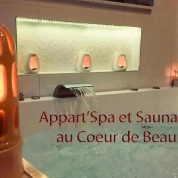 Appart' Spa et Sauna Privatif Au Cœur De Beaune, hotel v destinaci Beaune