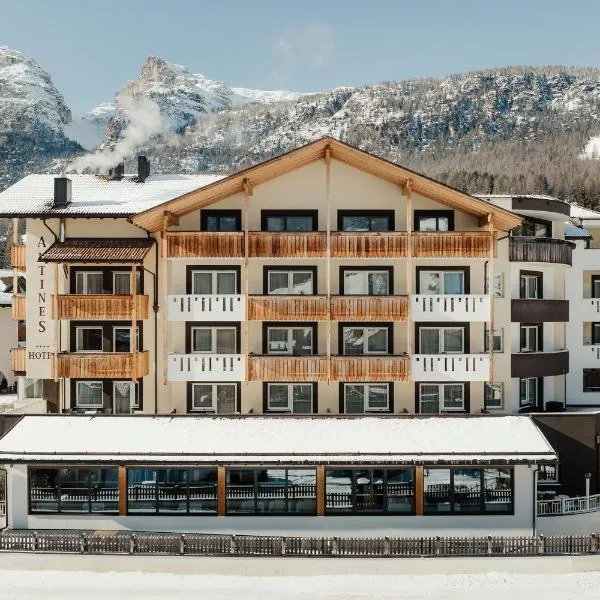 Hotel Antines, hotel v destinácii La Villa