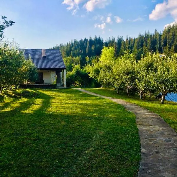 Forest Chalet Sucevita, hotel in Suceviţa