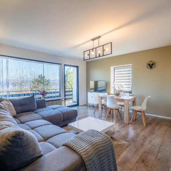 Link Living Apartment Ruhige Lage und Parkplatz, khách sạn ở Koblenz