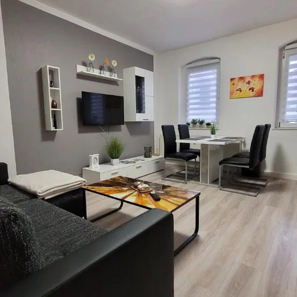 Apartment in ruhiger Südvorstadt, hotel v destinaci Zwickau