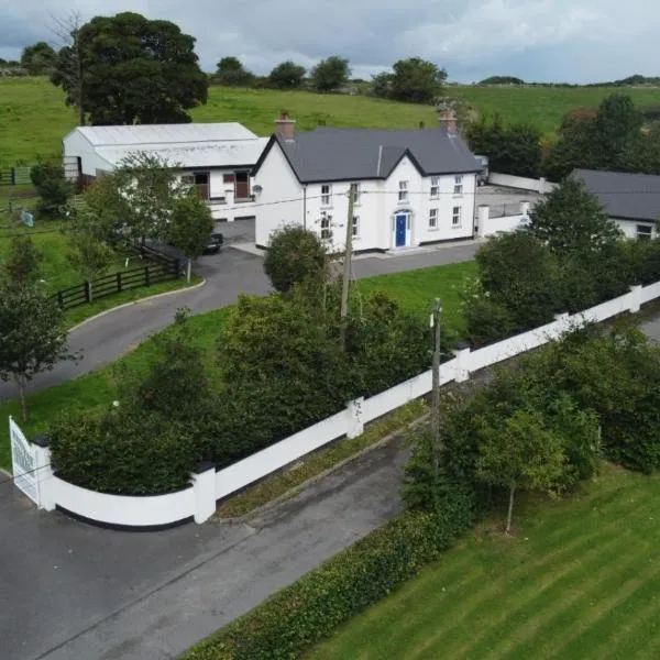 Silvi's Guest House Borris Carlow, hotel v destinaci Lissalican