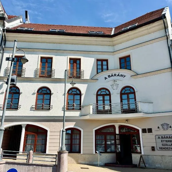 A Bárány, hotel v destinaci Kaposvár
